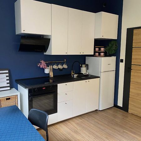 Przytulny I Nowoczesny Apartament Malgosi, 10 Min Pieszo Od Dworca I Galerii 卡托维兹 外观 照片