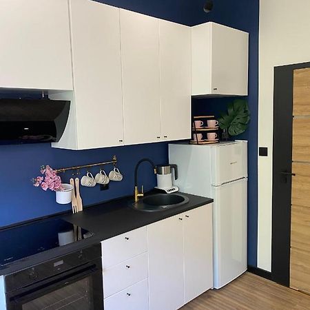 Przytulny I Nowoczesny Apartament Malgosi, 10 Min Pieszo Od Dworca I Galerii 卡托维兹 外观 照片