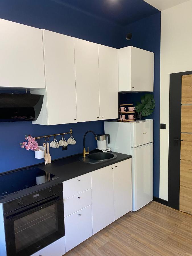 Przytulny I Nowoczesny Apartament Malgosi, 10 Min Pieszo Od Dworca I Galerii 卡托维兹 外观 照片